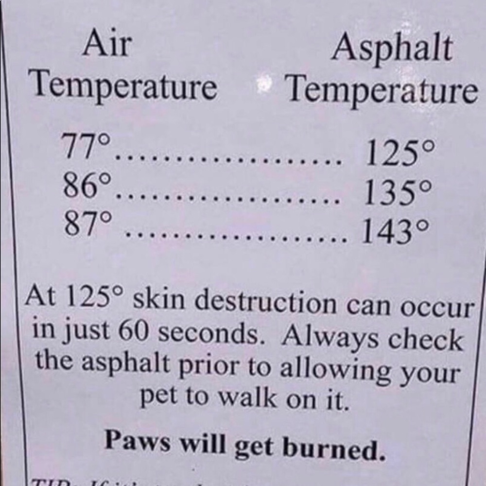 Please don't leave animals and hot cars - Picture 5 of 8